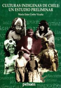 Image of Culturas Indígenas de Chile: Un estudio preliminar